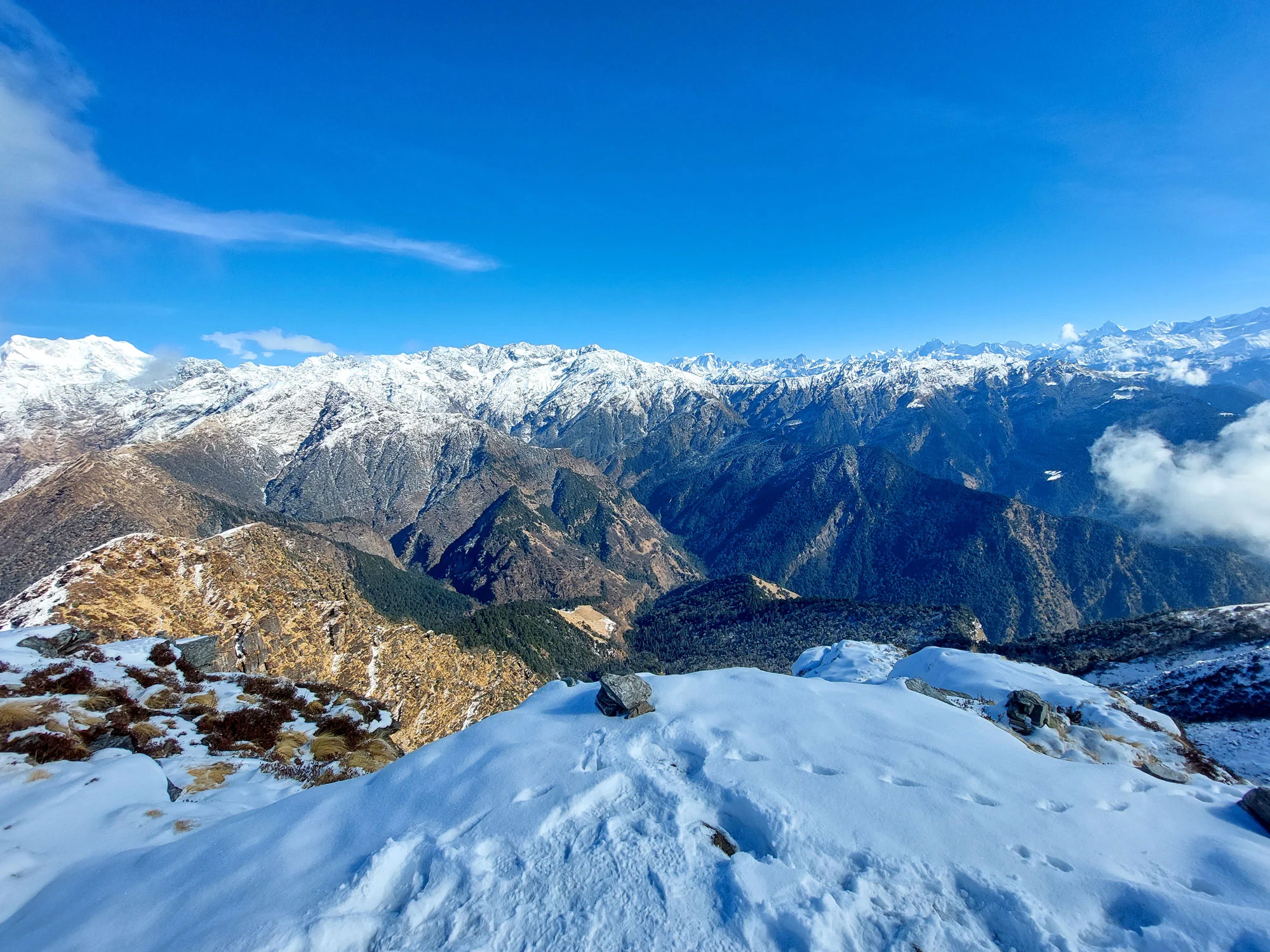 Snow covered Chopta hills in winter